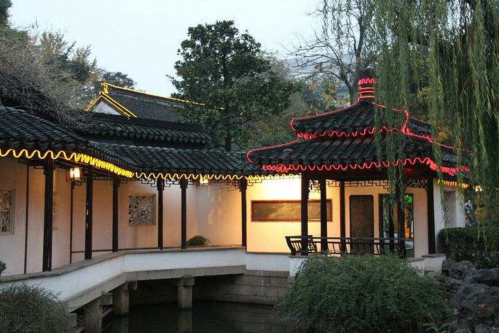 555.jpg
